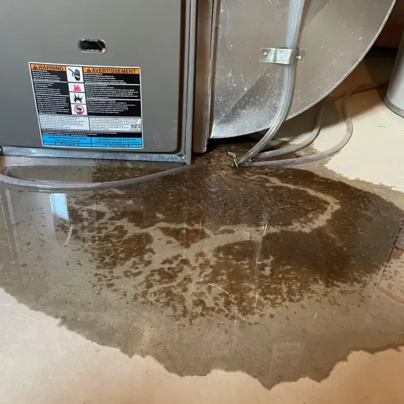 Appliance Leak Cleanup in Lincoln County, NM